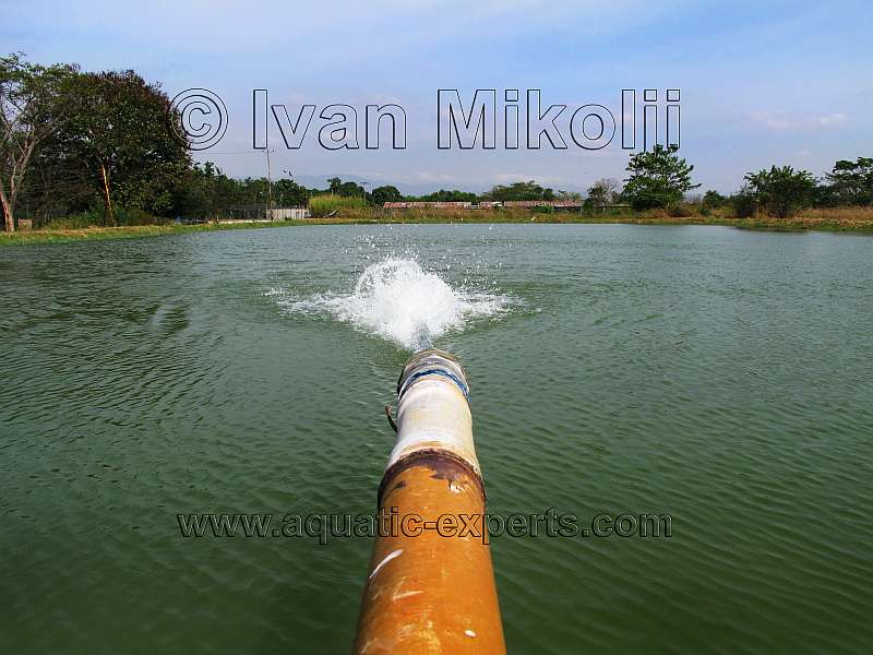 Acuicultura en Venezuela 12